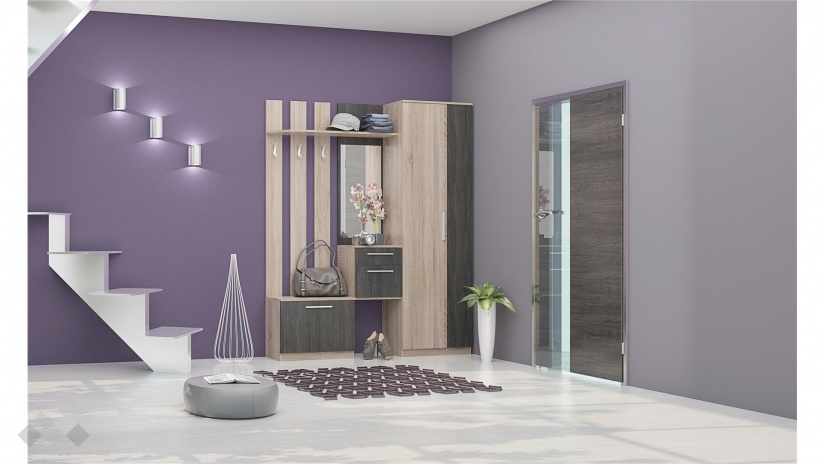 Портманто Салвадор дъб сонома с дъб карбон - изглед 1